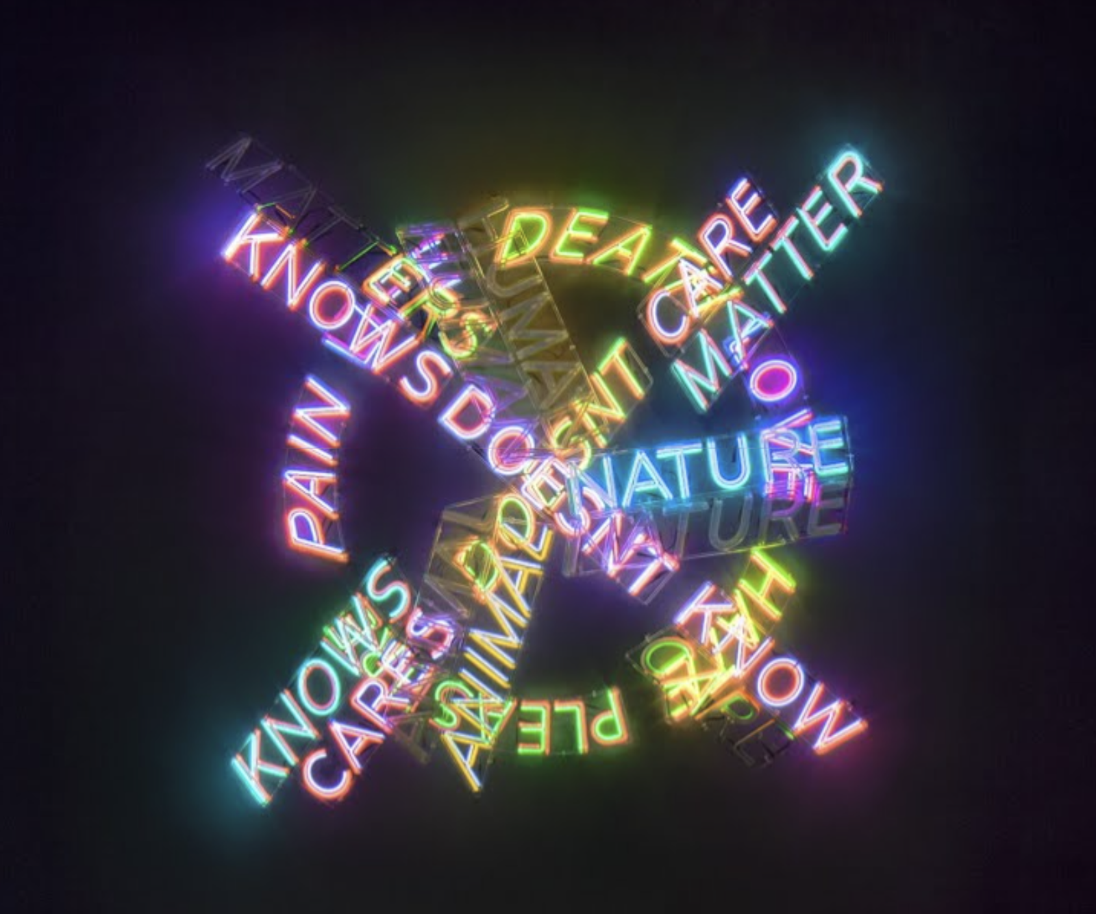 Bruce Nauman